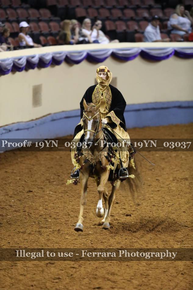 Proof 19YN_03037
