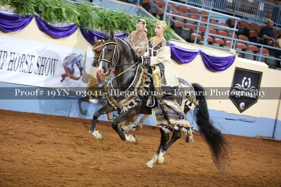 Proof 19YN_03041