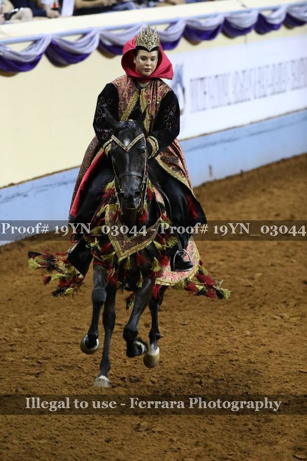 Proof 19YN_03044