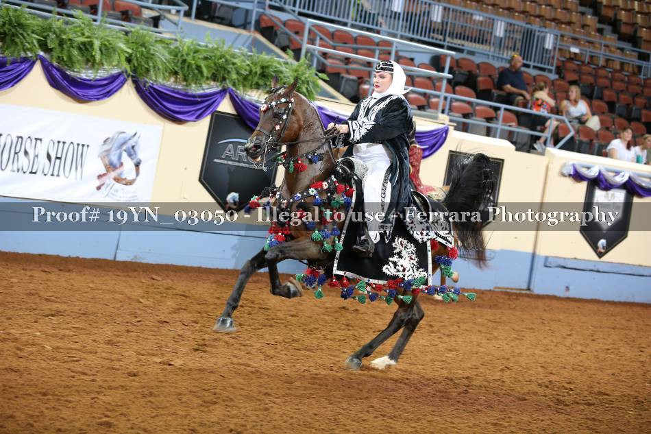 Proof 19YN_03050