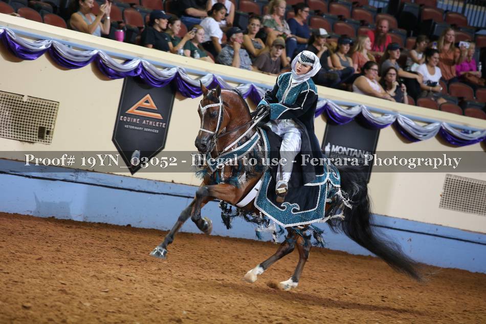 Proof 19YN_03052