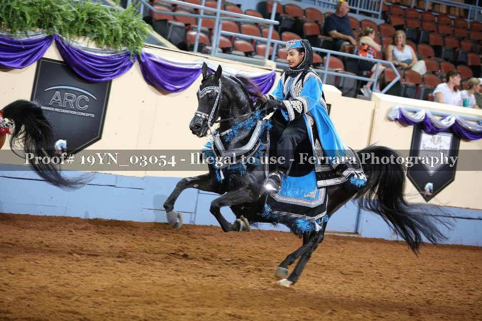 Proof 19YN_03054