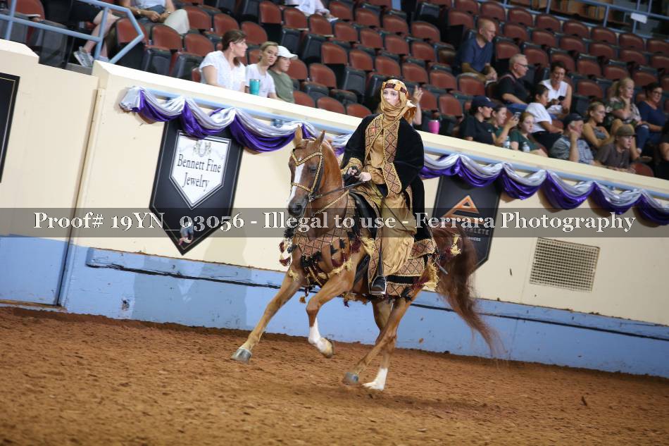 Proof 19YN_03056