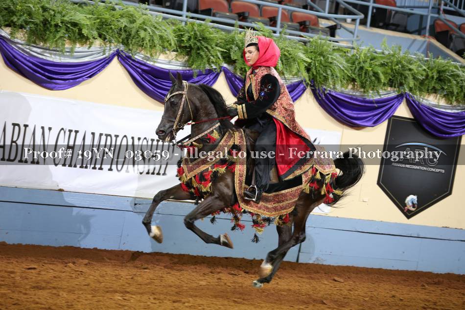 Proof 19YN_03059