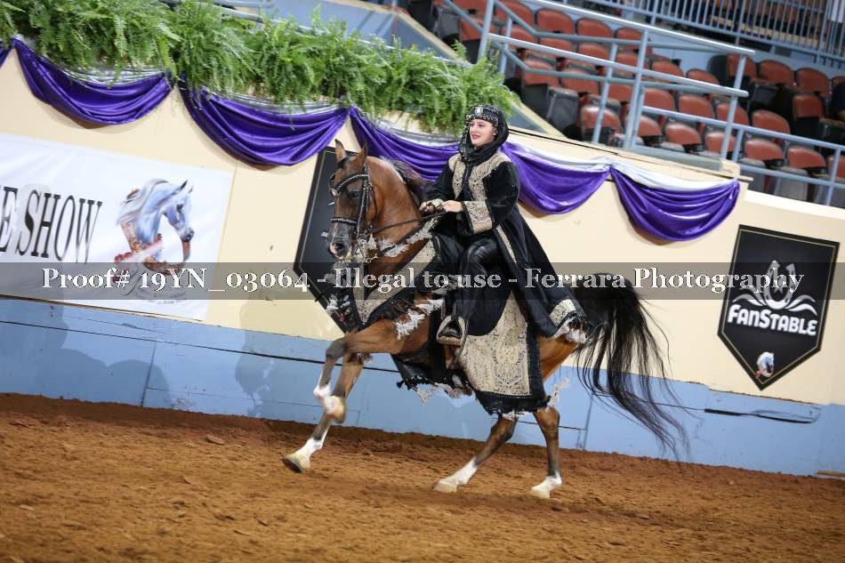 Proof 19YN_03064