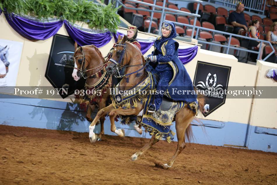 Proof 19YN_03065