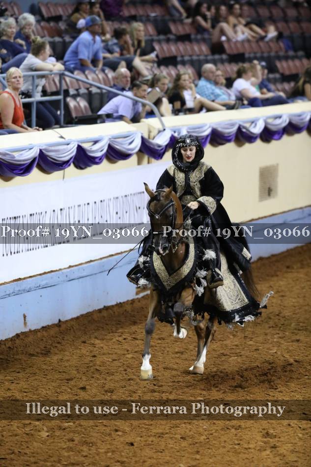 Proof 19YN_03066