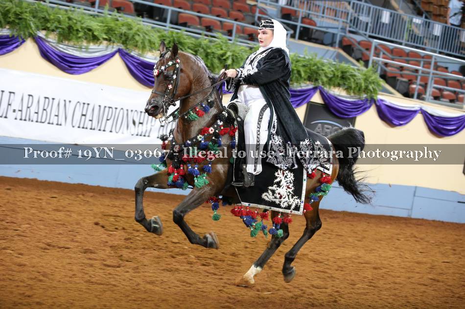 Proof 19YN_03067