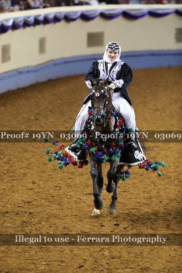 Proof 19YN_03069