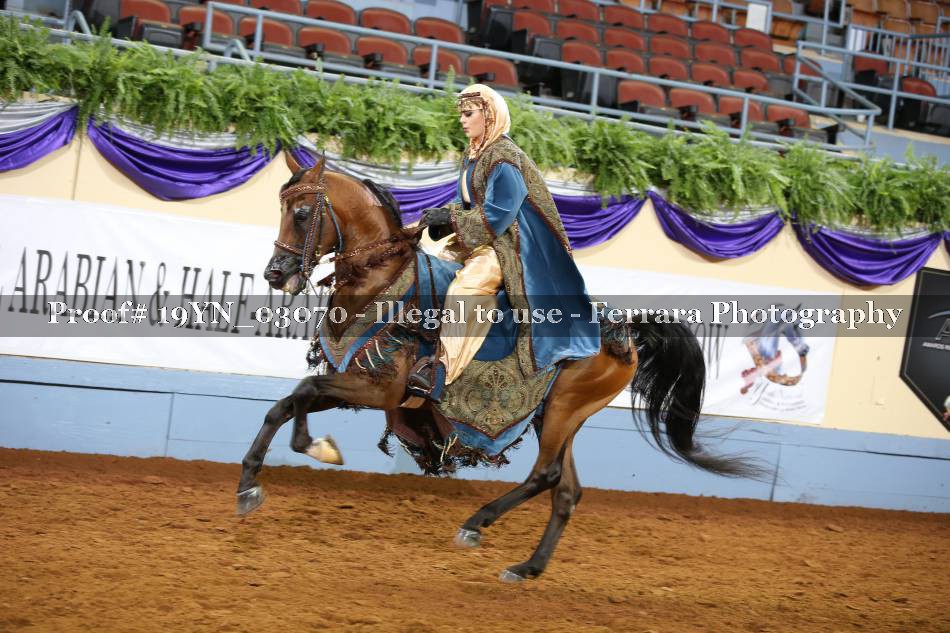 Proof 19YN_03070