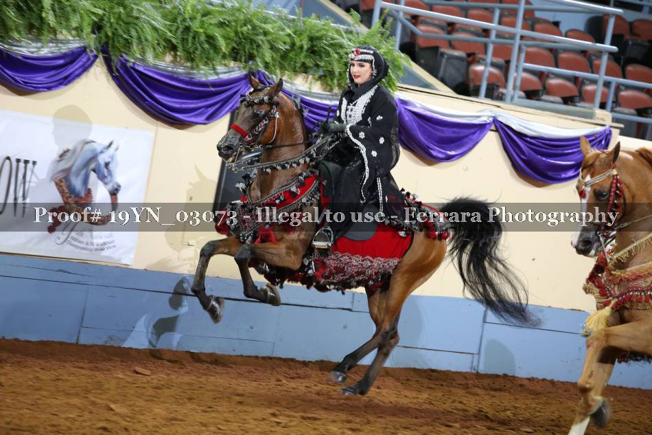 Proof 19YN_03073