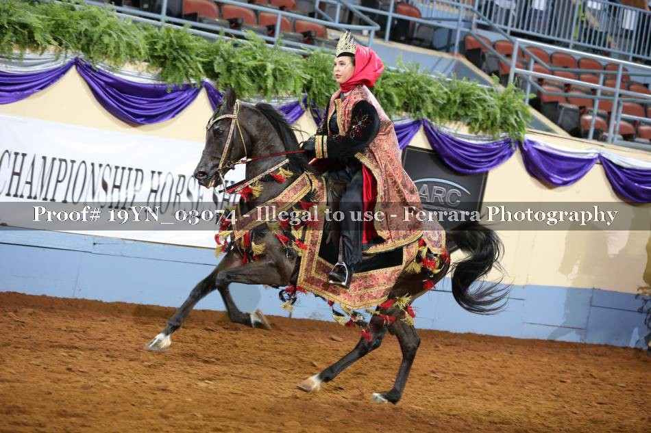 Proof 19YN_03074