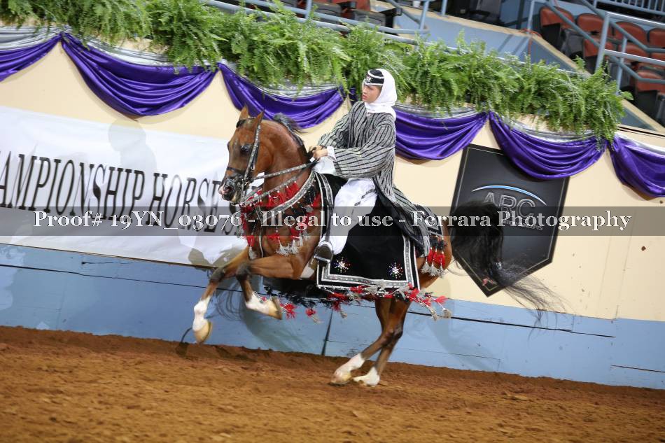 Proof 19YN_03076
