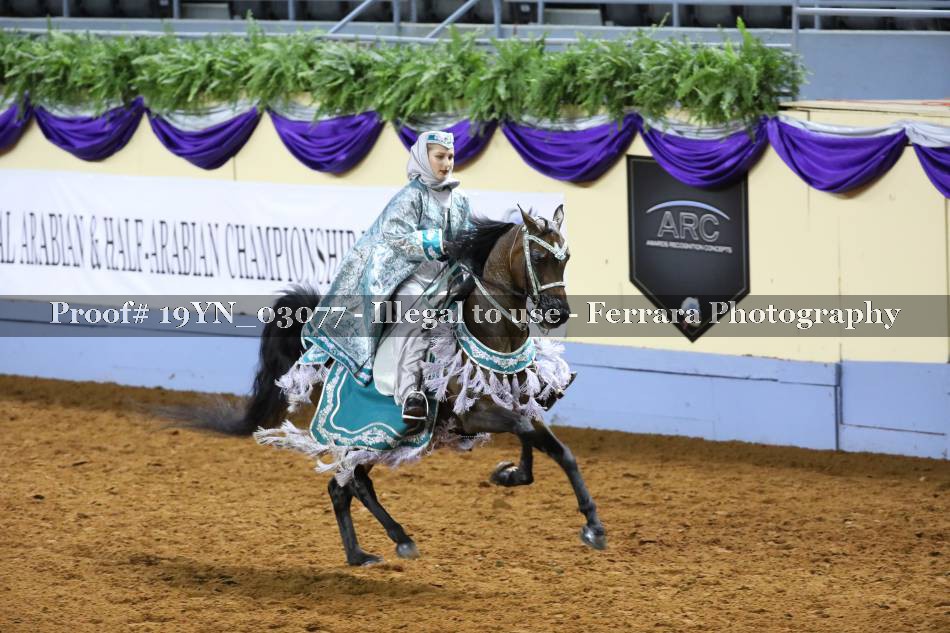 Proof 19YN_03077