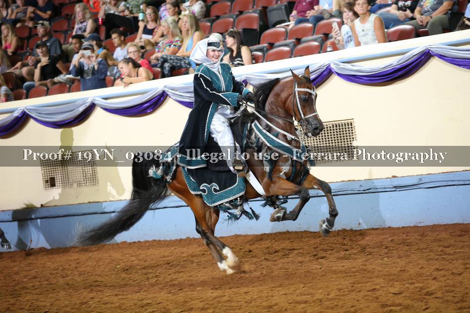 Proof 19YN_03084