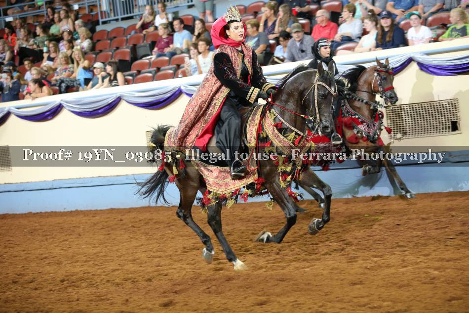 Proof 19YN_03085