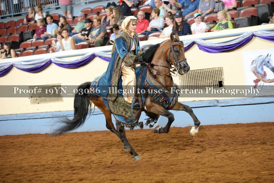 Proof 19YN_03086