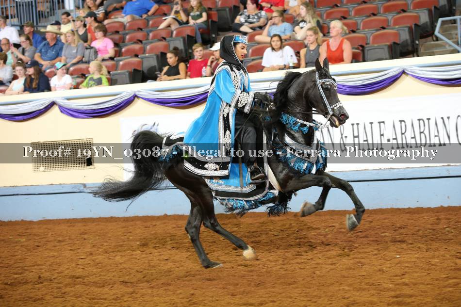 Proof 19YN_03087