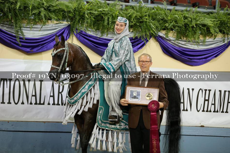 Proof 19YN_03097