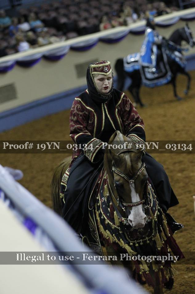 Proof 19YN_03134