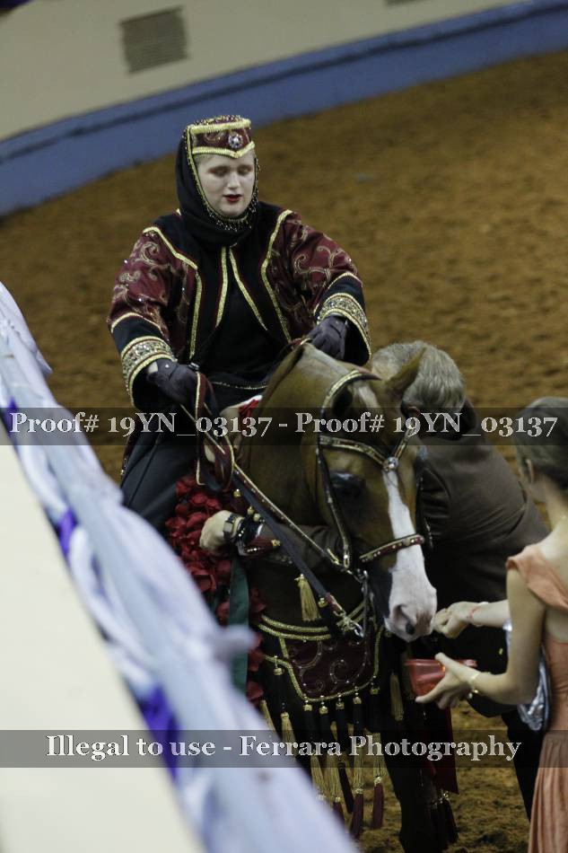 Proof 19YN_03137