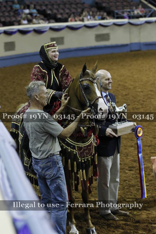 Proof 19YN_03145