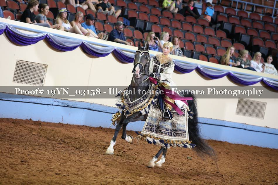 Proof 19YN_03158