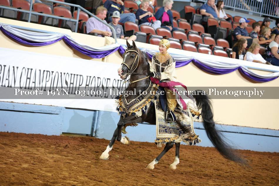 Proof 19YN_03160