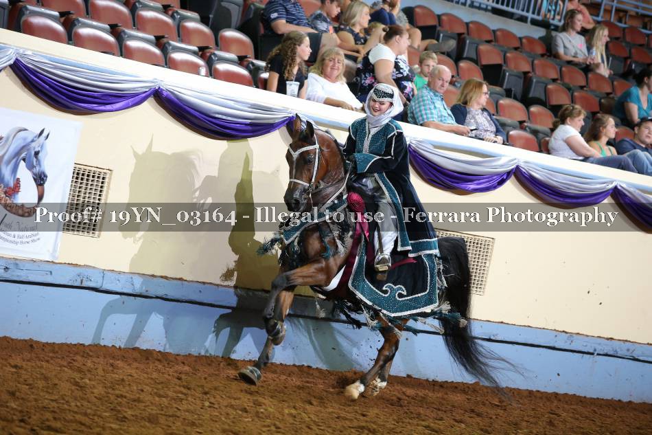 Proof 19YN_03164