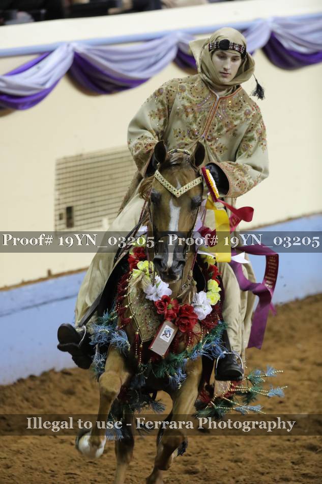 Proof 19YN_03205