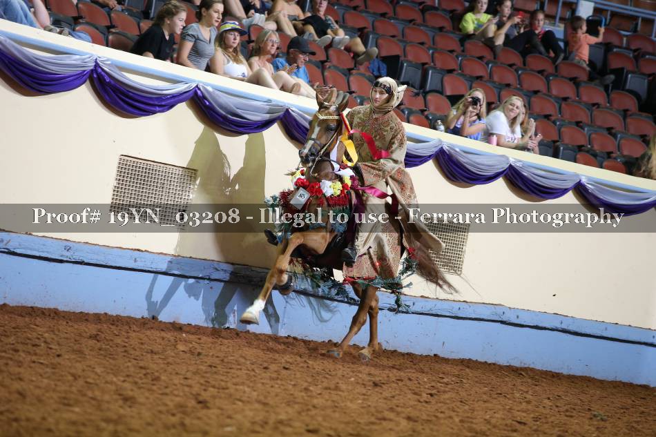 Proof 19YN_03208