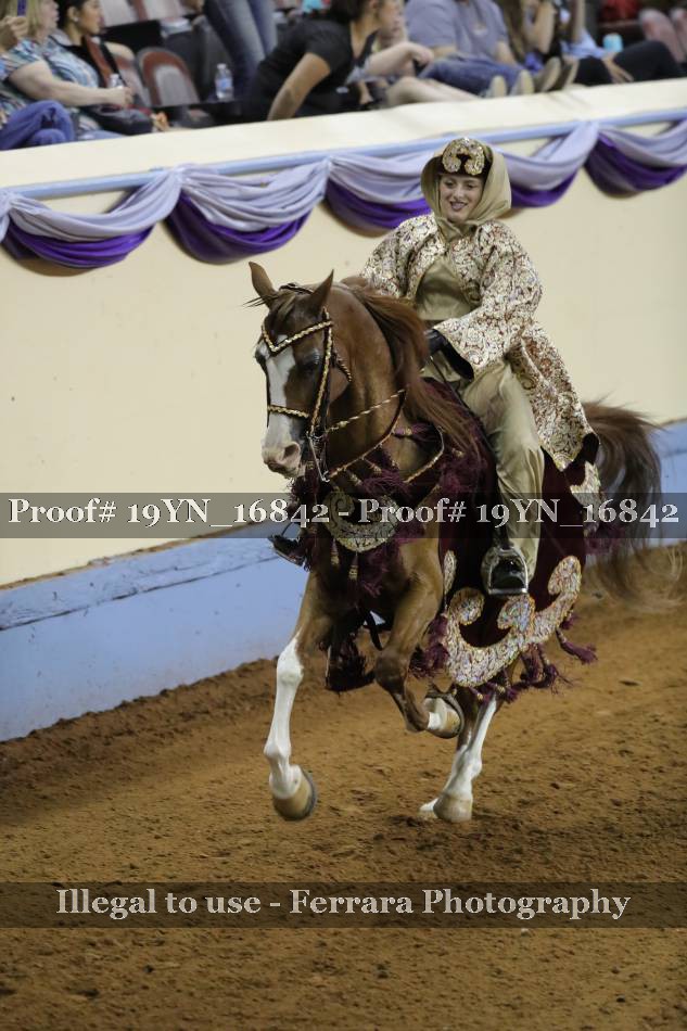 Proof 19YN_16842