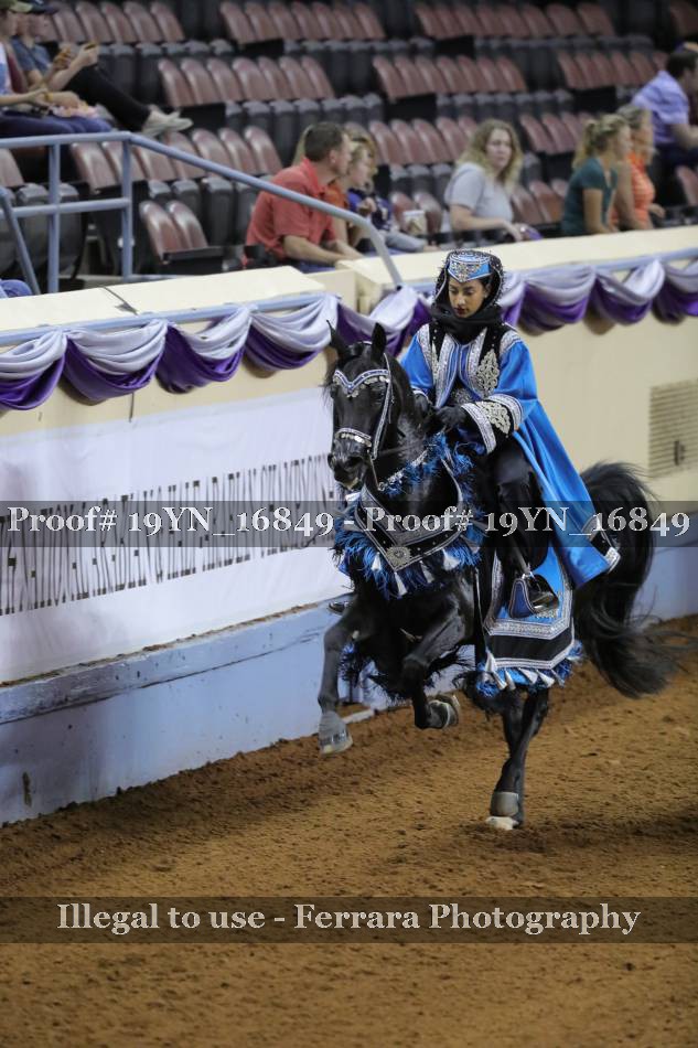 Proof 19YN_16849