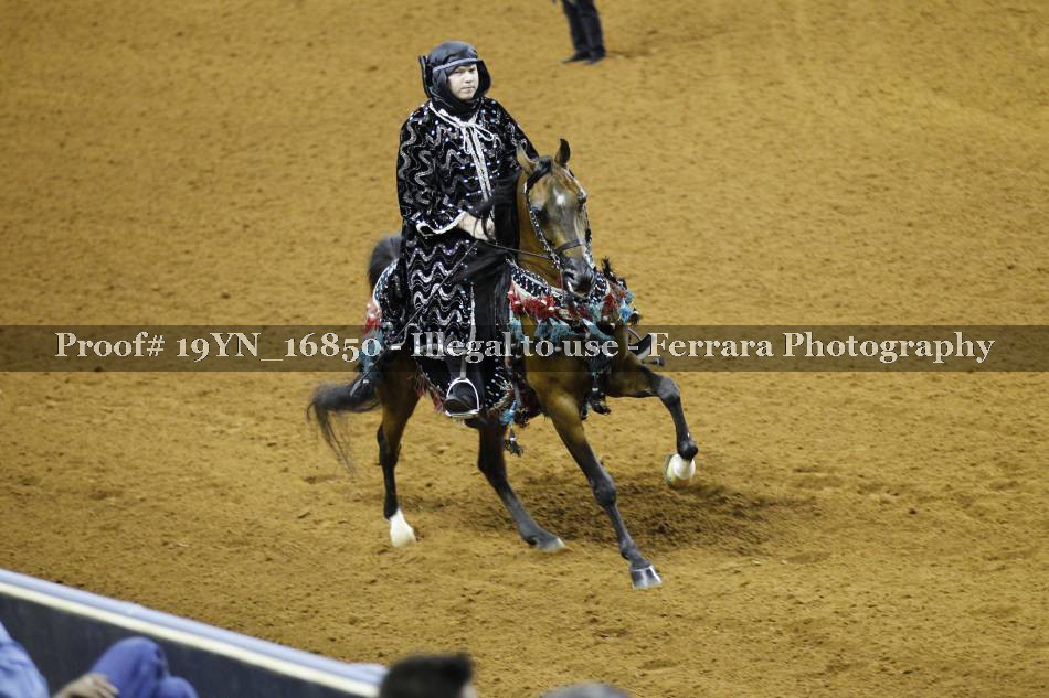 Proof 19YN_16850