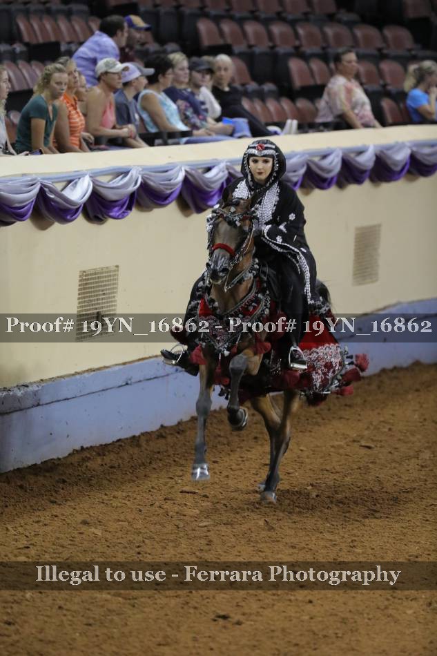 Proof 19YN_16862