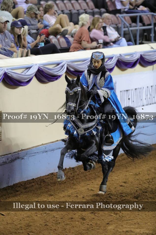 Proof 19YN_16873