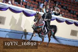 19YN_16892 proof