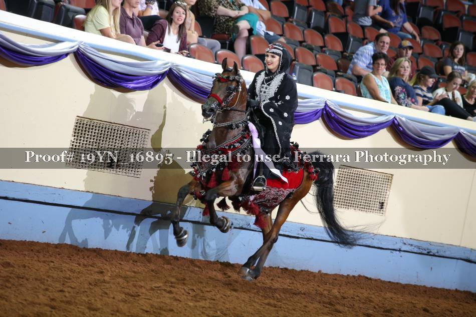 Proof 19YN_16895