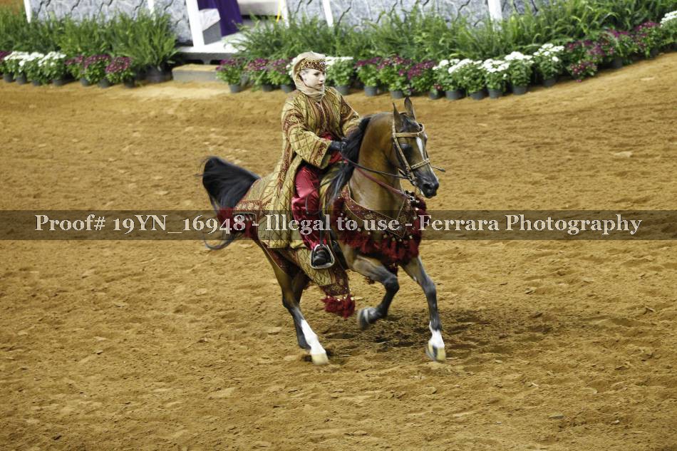 Proof 19YN_16948