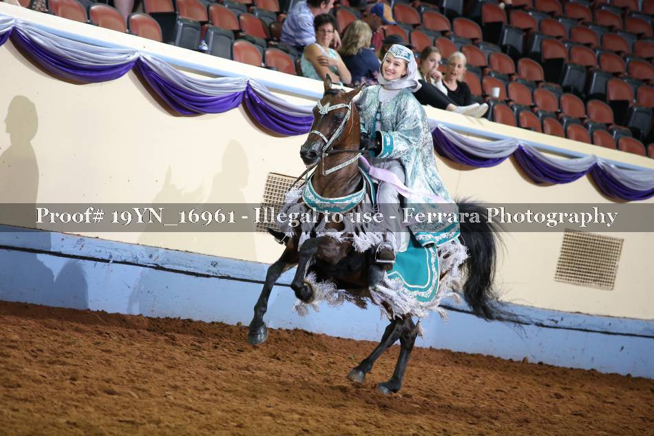 Proof 19YN_16961