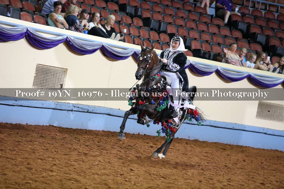 Proof 19YN_16976