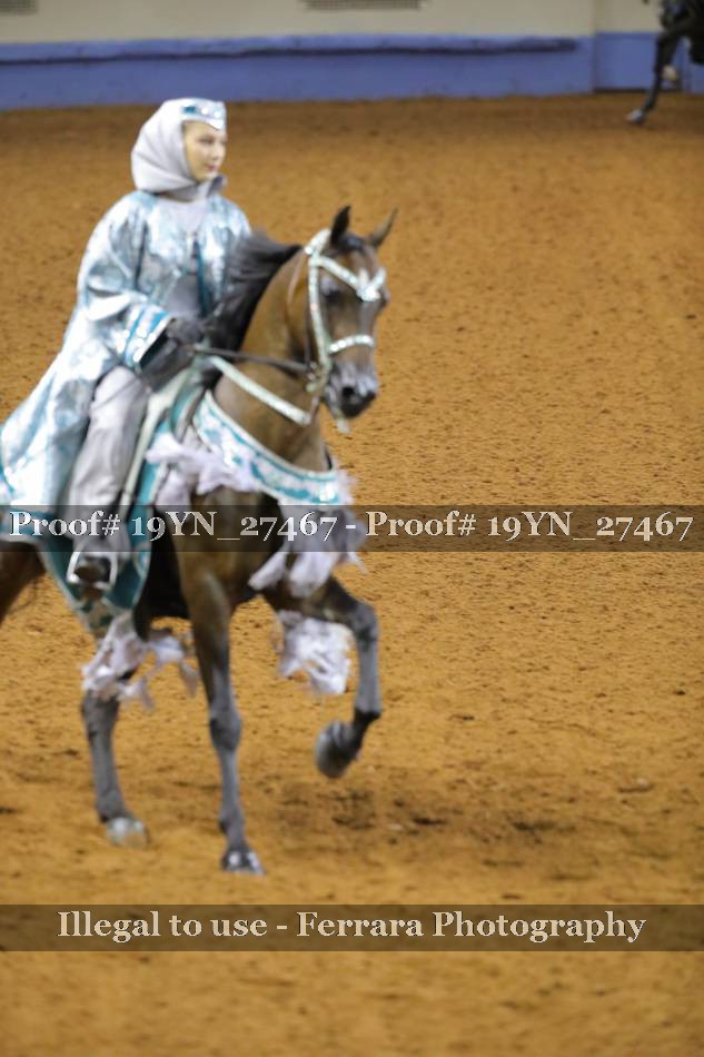 Proof 19YN_27467