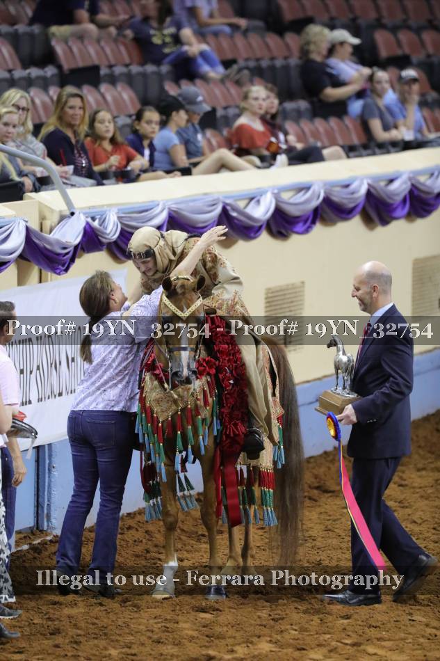 Proof 19YN_32754