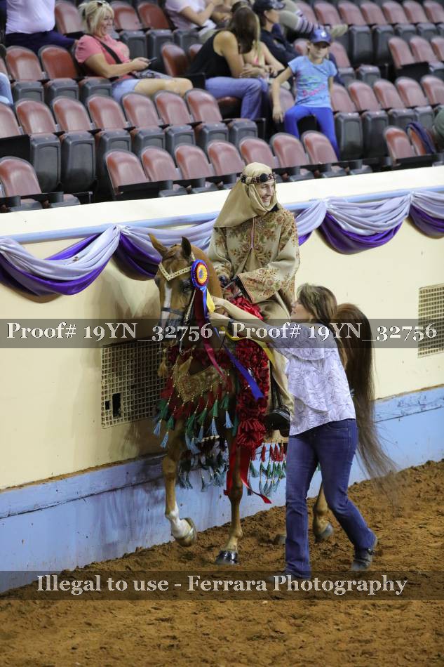 Proof 19YN_32756