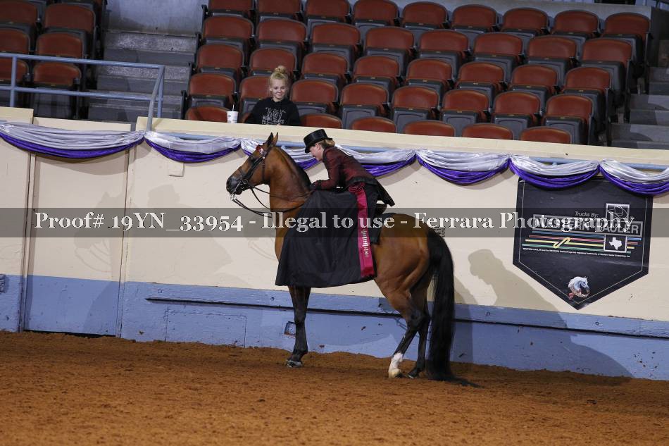 Proof 19YN_33954