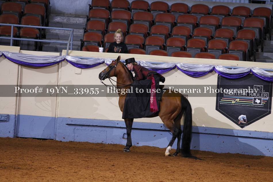 Proof 19YN_33955