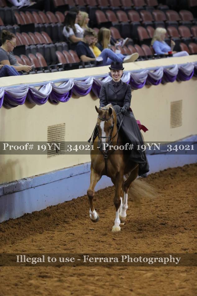 Proof 19YN_34021
