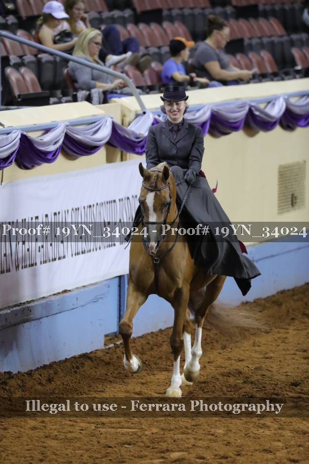 Proof 19YN_34024