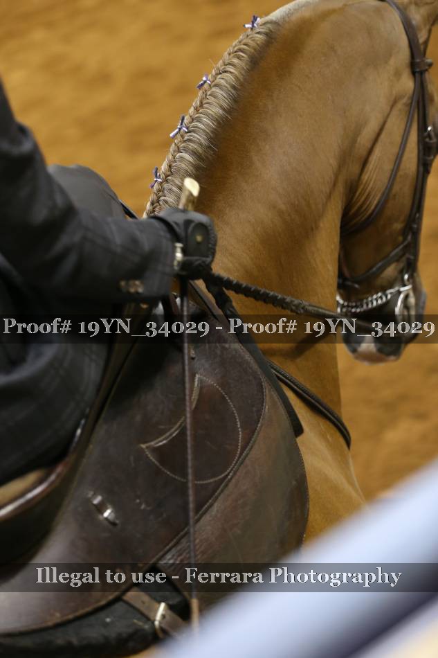 Proof 19YN_34029