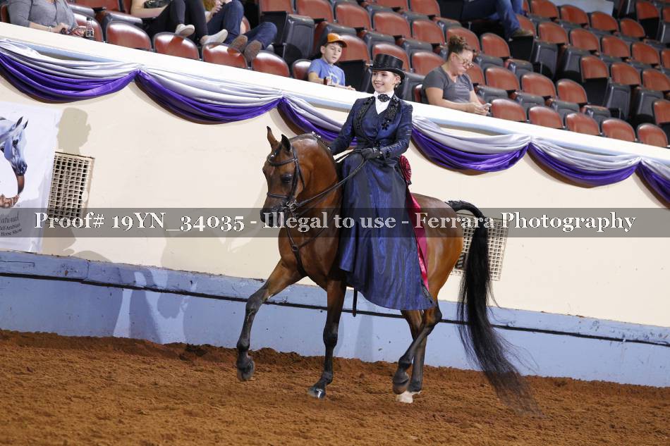 Proof 19YN_34035
